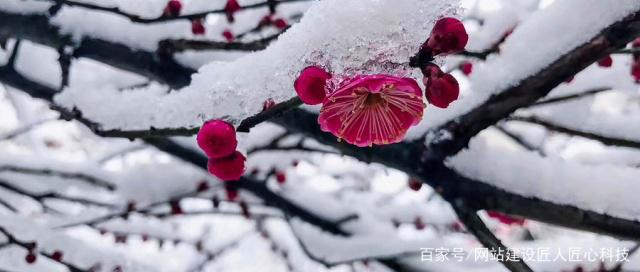 專業(yè)網(wǎng)站開發(fā)公司：今天有許多因素困擾了今天企業(yè)的發(fā)展。工藝技術(shù)的編輯應(yīng)該覺得公司應(yīng)該在新的客戶擴(kuò)張中進(jìn)行。因?yàn)楣镜谋憩F(xiàn)已經(jīng)升級，許多問題都將得到解決。我們擅長該領(lǐng)域是如何讓更多客戶通過互聯(lián)網(wǎng)找到公司。獲得咨詢獲取訂單。然后我們應(yīng)該遵循百度排名網(wǎng)站的應(yīng)遵循該規(guī)則。